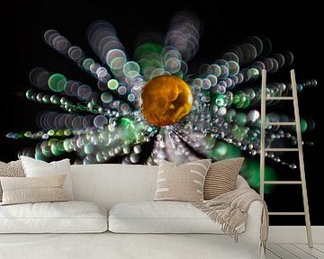 Orange drip on a fluff by Bert Nijholt