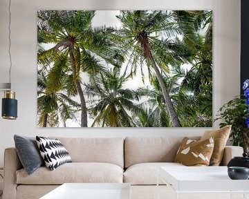 Grüne Palmen vor weißem Hintergrund von Bianca ter Riet