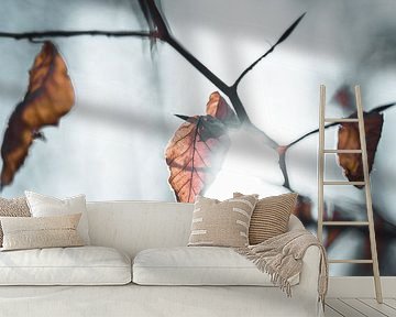 autumn leaf by Arnold Maisner