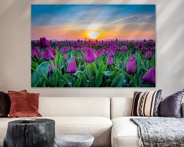 Tulpenveld met zonsondergang van Eddie Visser