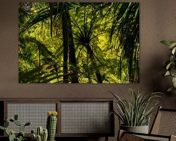 Forêt avec fougères et palmiers sur la côte ouest de la Nouvelle-Zélande sur Paul van Putten