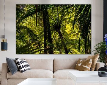 Forest with ferns and palms on the west coast of New Zealand by Paul van Putten
