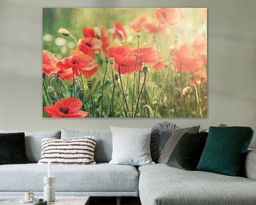 Poppies III by Christa van Gend