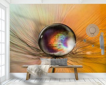 Drizzle on a dandelion fluff by Bert Nijholt