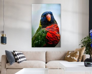Portrait of a Lorinii parrot by pixxelmixx