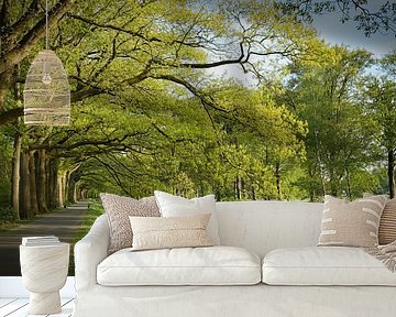 Doorkijk & bomenrij(k) van Saranda in t Veld Fotografie