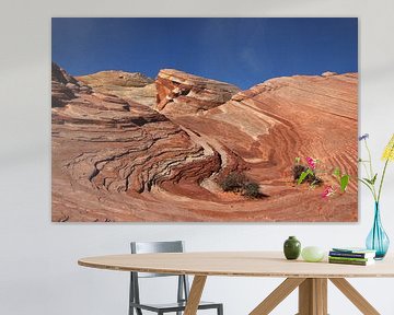 Valley of Fire, the wave van Discover Dutch Nature
