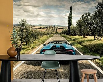 Lamborghini 'Passione Italia' II van Dennis Wierenga