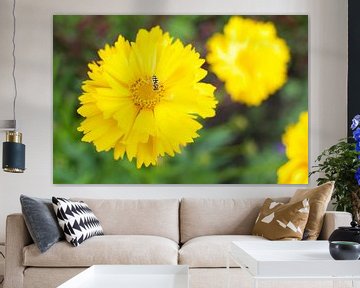 Gele bloem met insect van Photos by Aad