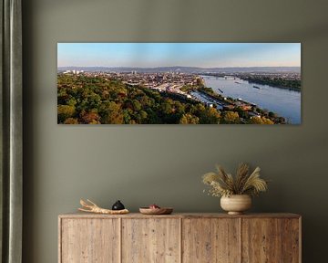 Panorama aérien de la ville de Mayence sur le Rhin sur menard.design - (Luftbilder Onlineshop)