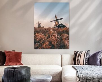 Typisch Nederlandse windmolens in Zaanse Schans op een zomerse avond tijdens het golden hour van Michiel Dros