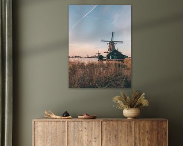Drei niederländische Windmühlen in Zaanse Schans während der Goldenen Stunde
