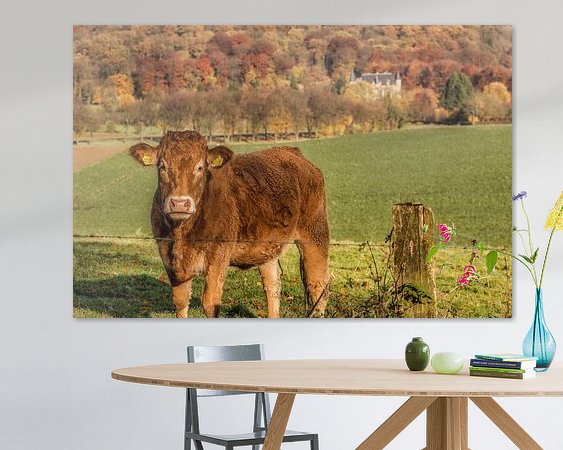 Raumvorschau