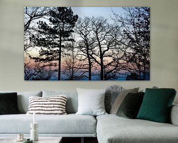 Winter Forest
