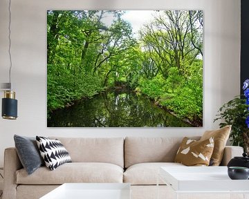 Groen water