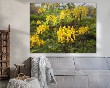 gele lentebloemen