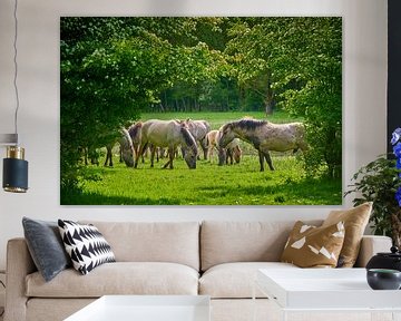 Grazende Konikpaarden in het Horsterwold van Jenco van Zalk