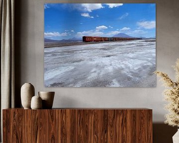 Train through the salt flats by Iris Timmerman