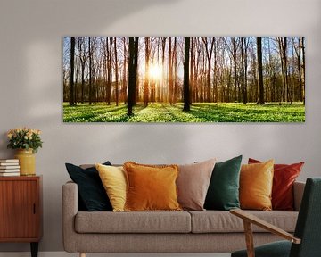 Sunset in the forest by Günter Albers