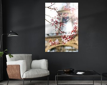 Blossom in spring at the Eiffel Tower by Dennis van de Water