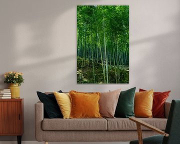 Une forêt de bambous à Kyoto sur Mickéle Godderis