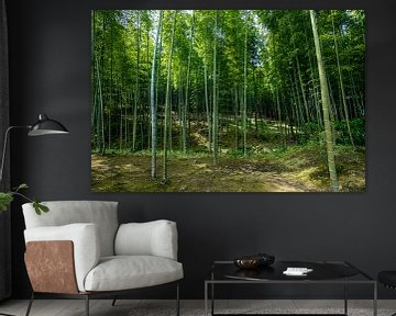 Bamboe bos in Japan van Mickéle Godderis