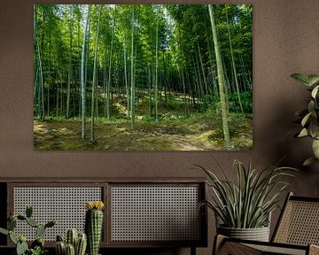Bamboe bos in Japan van Mickéle Godderis