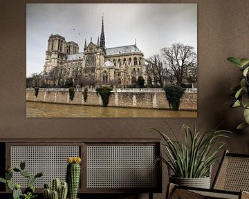 Notre-Dame aan de Seine van Dennis van de Water