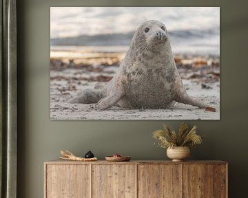 Mama ist am Strand von Desirée Couwenberg