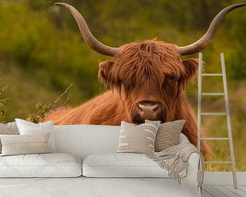 Tough Scottish Highlander lying in the grass in colour by By Marjolein Design