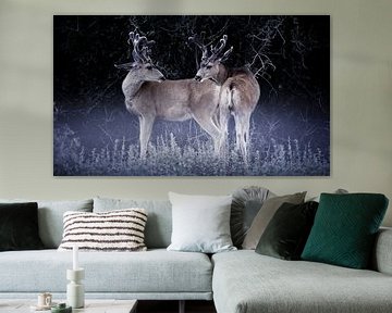 0775 Two deer van Adrien Hendrickx