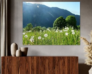 Romantisch berglandschap