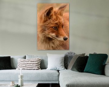 Portrait d'un renard sur Marjolein van Middelkoop