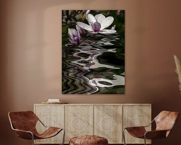 Bloemenwater - magnolia van Christine Nöhmeier
