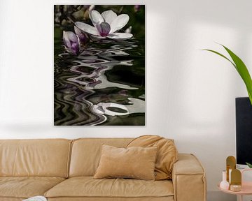 Flower water - magnolia by Christine Nöhmeier