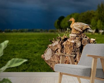 Eend in een boom van Nynke Altenburg