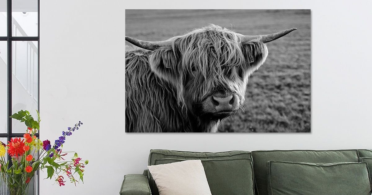 Kuh Bilder Auf Leinwand Schwarz Weiss