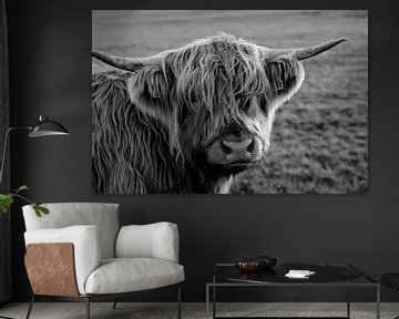 Hooglander koe kijkt indringend; in zwart-wit van Atelier Liesjes