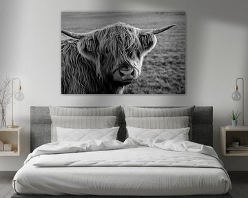 Highlander-Kuh sieht aufdringlich aus; in schwarz-weiß von Atelier Liesjes