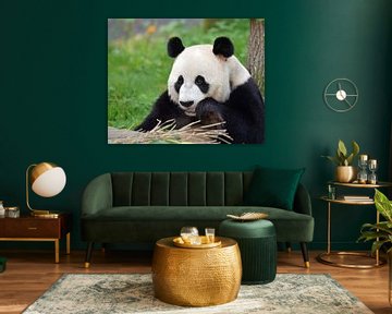 Großer Panda von Rini Kools
