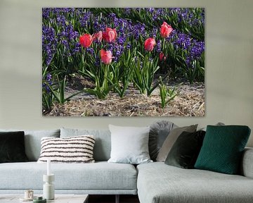 Tulips and hyacinths by colour