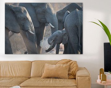 jonge olifant van gj heinhuis