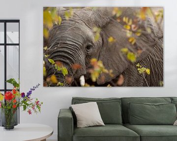 doorkijk olifant van gj heinhuis
