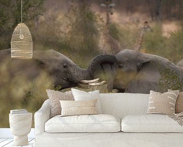 olifanten van gj heinhuis