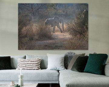 elephants by gj heinhuis