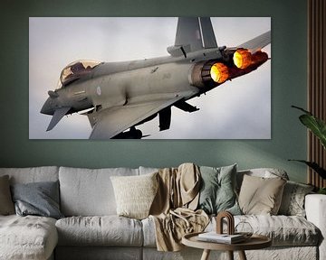 Eurofighter-Taifun mit 2 schönen Nachbrennern von Stefano Scoop
