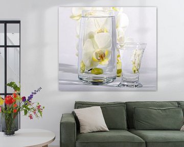 White orchid in a glass of water van Nancy Bogaert