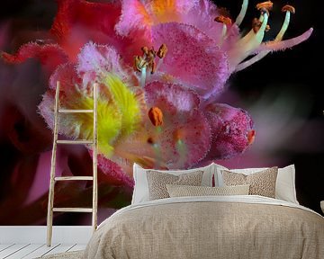 Bloesem paardenkastanje