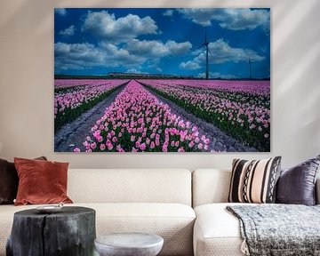 pink tulips by peterheinspictures