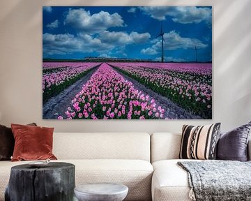 roze tulpen van peterheinspictures